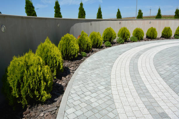 Driveway Repair Near Me in Brinkley, AR